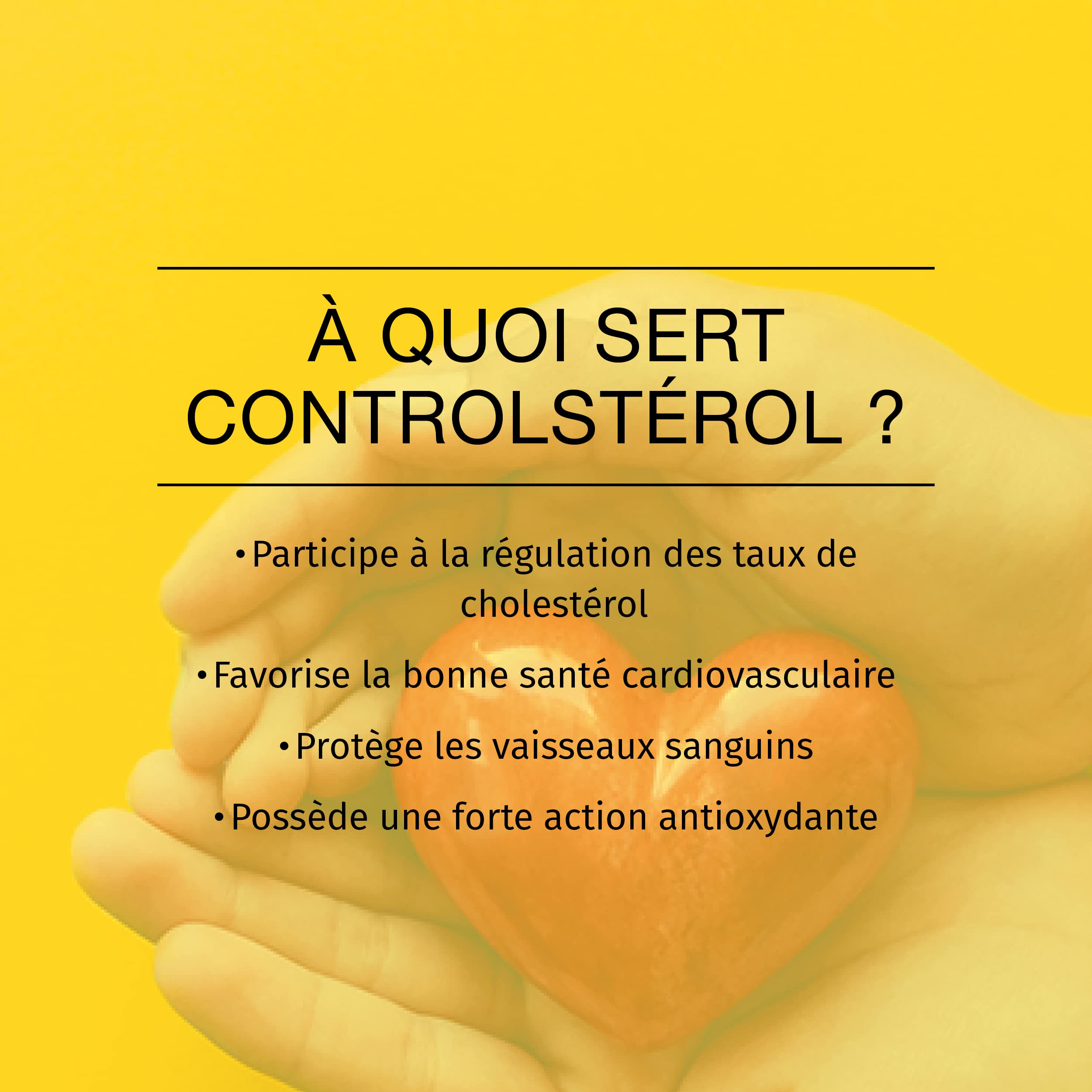 PhytoResearch ControlStérol Ail noir & Cannelle – 60 gélules jour/nuit