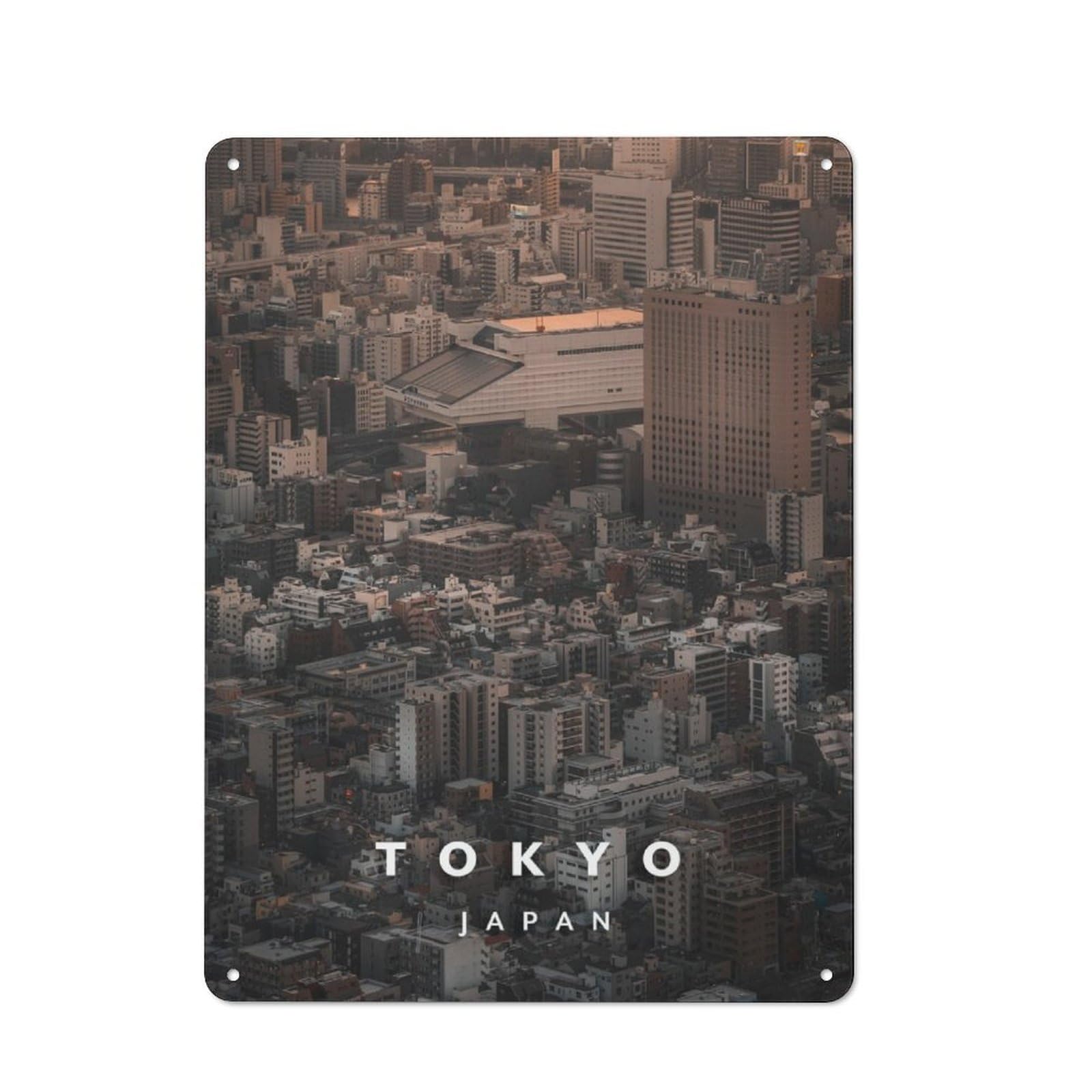 Junmoney Ryogoku Aerial View Retro Metal Sign 40X30cm For Garden Room Or Summerhouse, For Garden Room Decor Fans