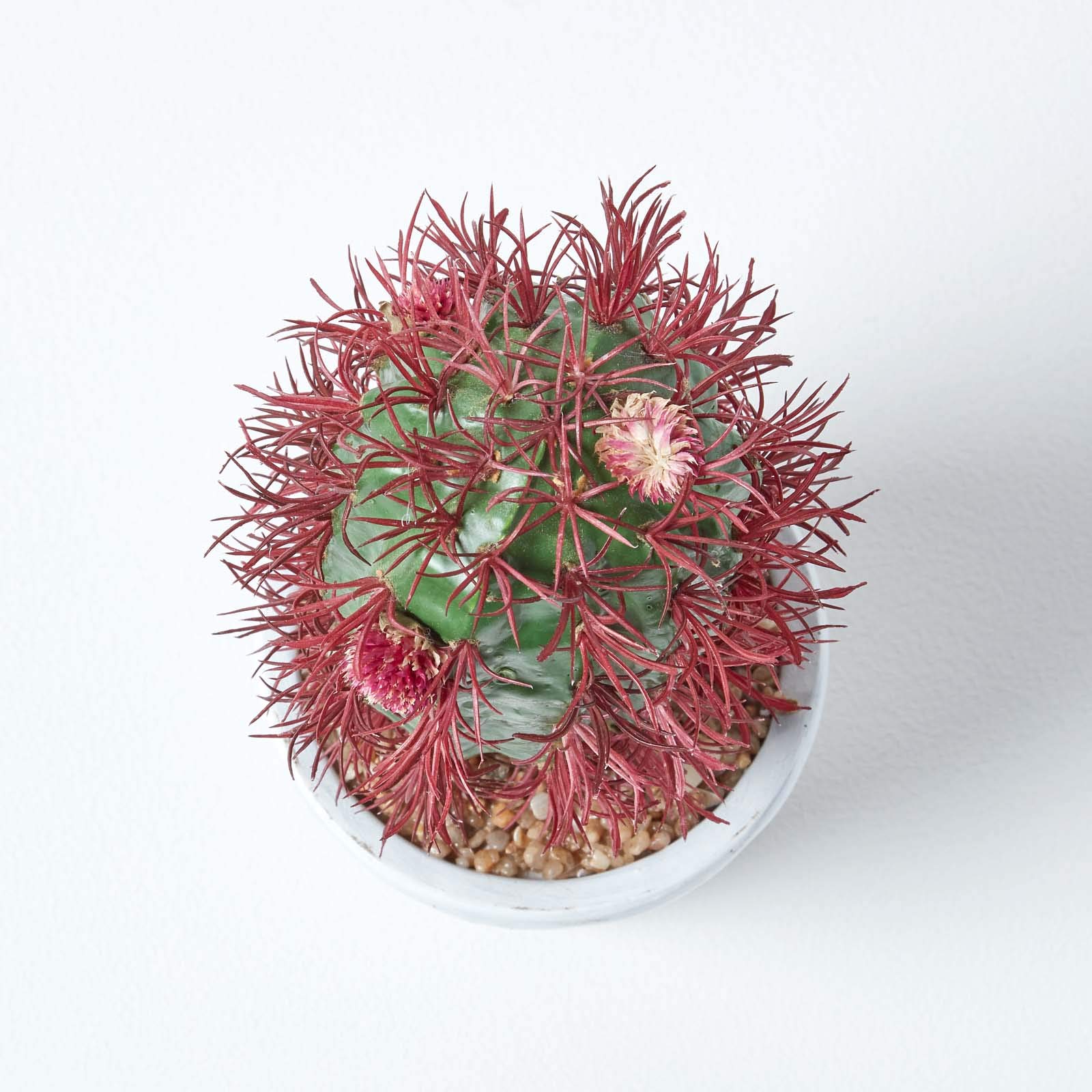Amazon.de: Homescapes Knstlicher Kaktus im Keramik Topf, kleine knstliche  sukkulente Pflanze  Denmoza Kaktus ca. 25 cm hoch, tolle Dekoration fr  Kaffeetisch, Schreibtisch oder Fensterbank
