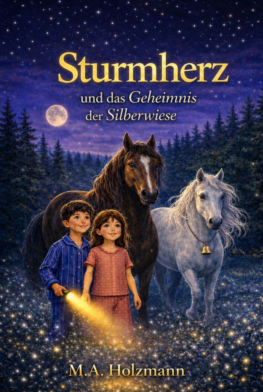 Sturmherz und das Geheimnis der Silberwiese