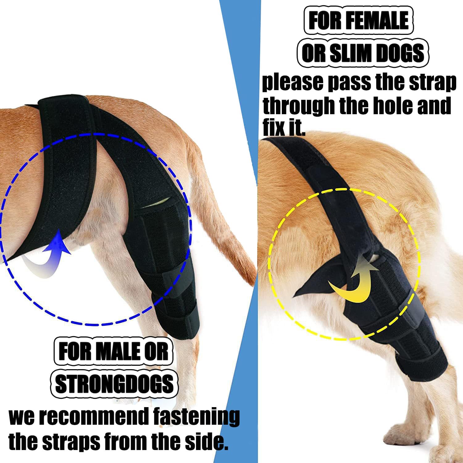 WADY Dog Knee Brace for Hind Leg Dog Knee Brace for Wound Injury and Sprain Healing of Arthritis for Torn ACL Front Leg Cruciate Ligament Support for Cocker Spaniel Yorkie - Image 4