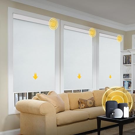 Lutron Serena Roller Shades with Valance