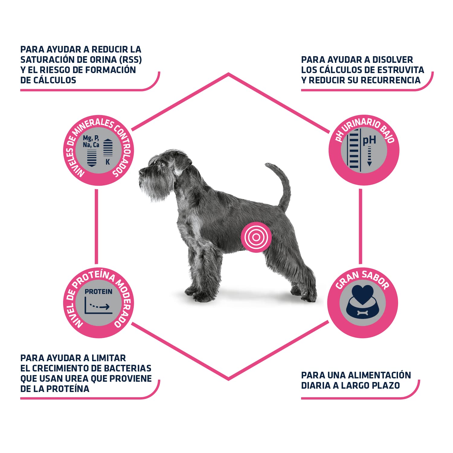 Advance Veterinary Diets Urinary, Pienso para Perros con Problemas en el tracto urinario, 3kg & Advance Mini Senior, Pienso para Perros Senior de Razas Pequeñas con Pollo, 3kg
