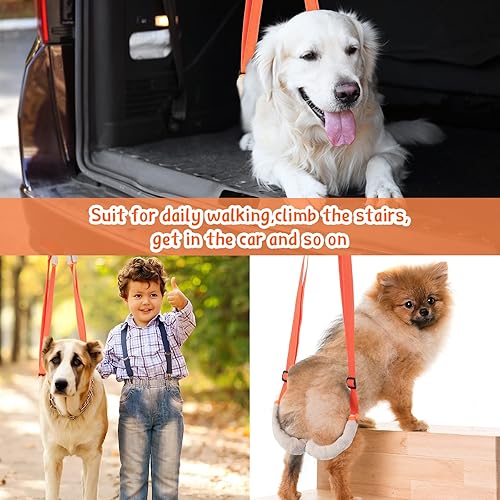 Miniatura 7 de Mixweer Arnés de soporte para perro para patas traseras, soporte de elevación trasera de perro con asa y correa para el hombro, soporte para patas