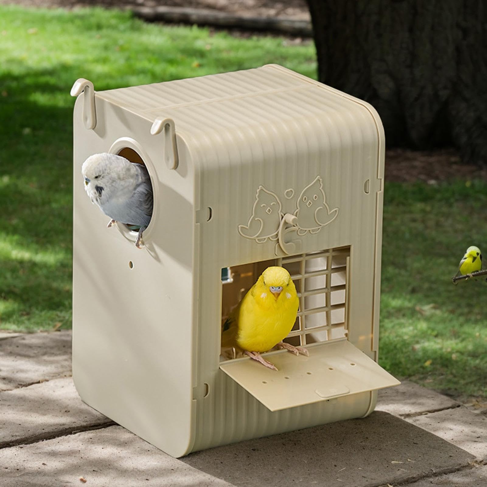 Cassetta Per Uccelli Per Pappagalli Con Integrata | Cassetta Conuri Conservazione Natura Birdwatching Giardino Balcone Osservazione Educativa Habitat Fauna Selvatica All'Aperto
