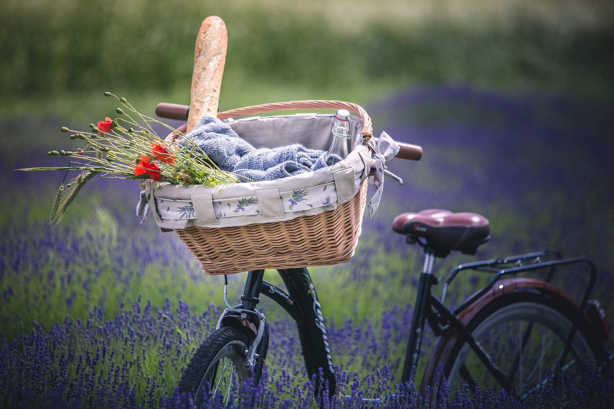 e-wicker24 Panier de Bicyclette en Osier, Panier de vélo en Osier avec poignée de Transport, Panier de vélo avec Doublure Amovible