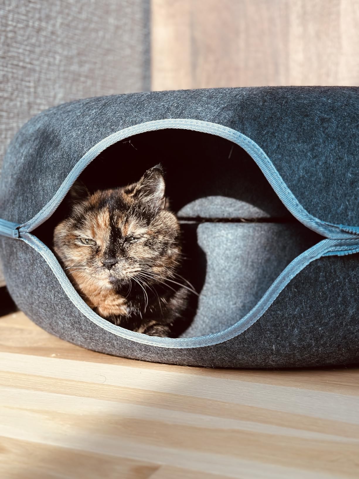 Large Cat Tunnel Bed for Indoor Cats with 3 Toys, Scratch Resistant Donut Cat Bed, Up to 30 Lbs (L 24x24x11, Dark Grey) photo review