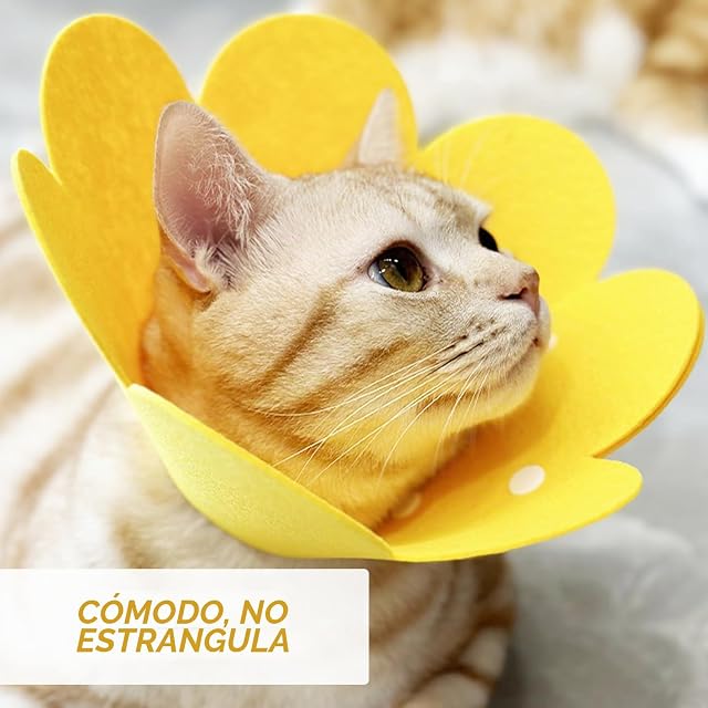 Foto 6 de 6 de 1 Ropa Protectora para Gatos y 1 Collar Amarillo Antifugas para Mascotas, Mono para Gatos