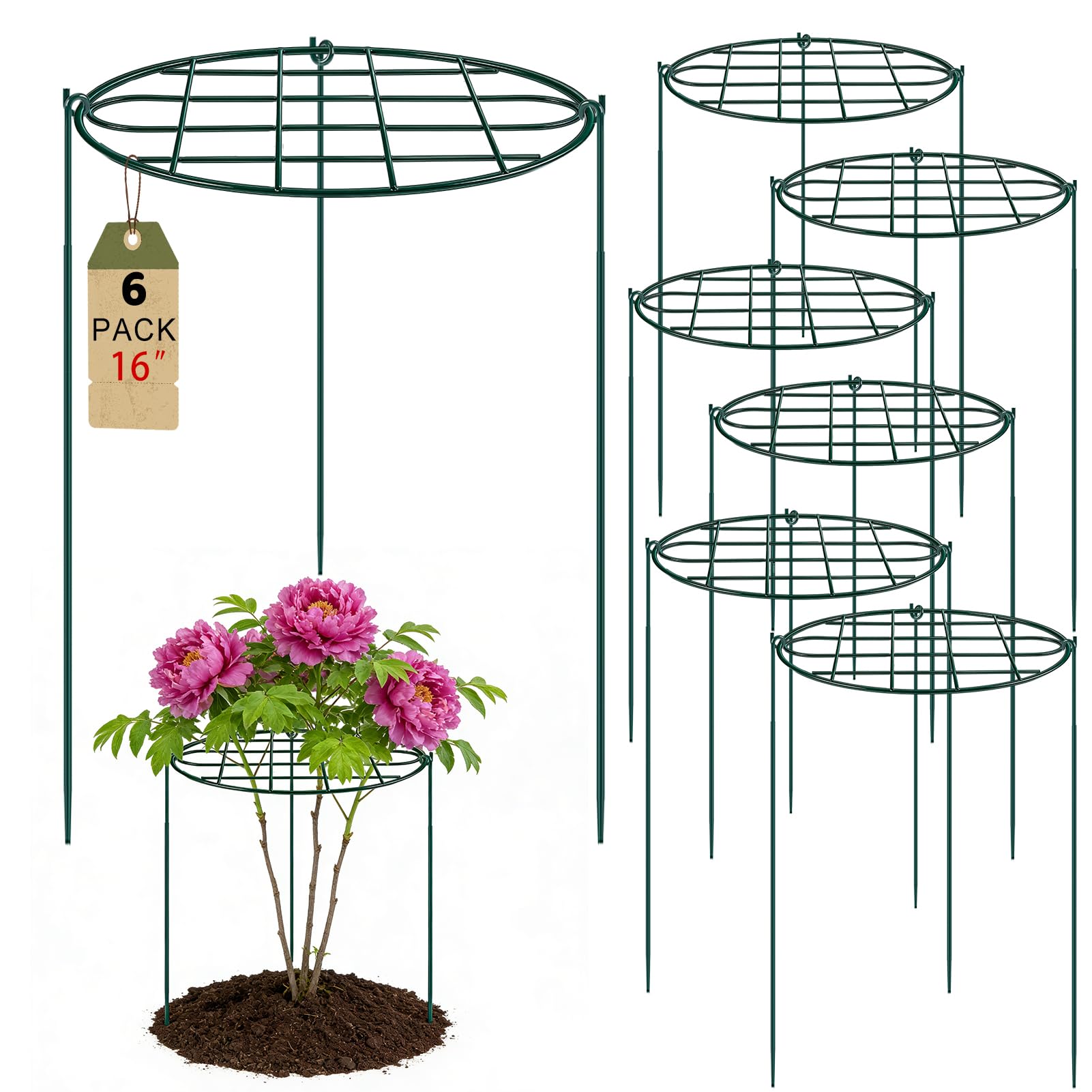 Tuteur pivoine métallique anti affaissement pour têtes de fleurs lourdes