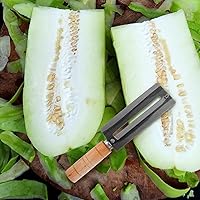 Vista 8 de BESTonZON 2 peladores de patatas de acero inoxidable, herramienta peladora de frutas, pelador de verduras, cuchillo pelador de caña de azúcar