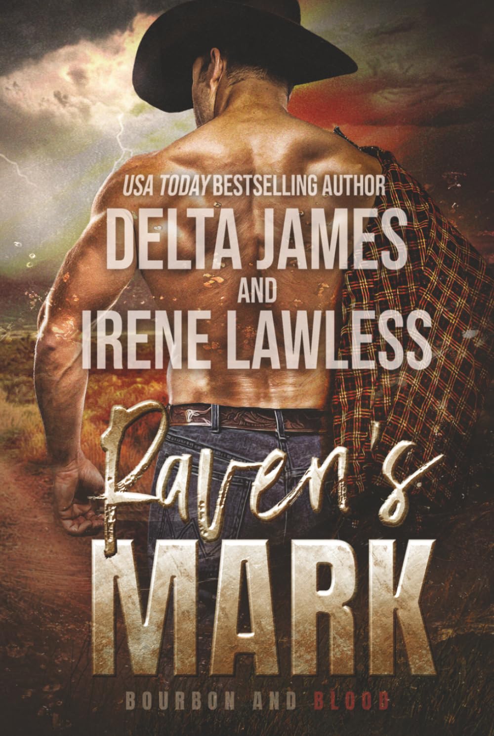 Raven's Mark: A Dark Cowboy Western Romantic Suspense (Bourbon and Blood)