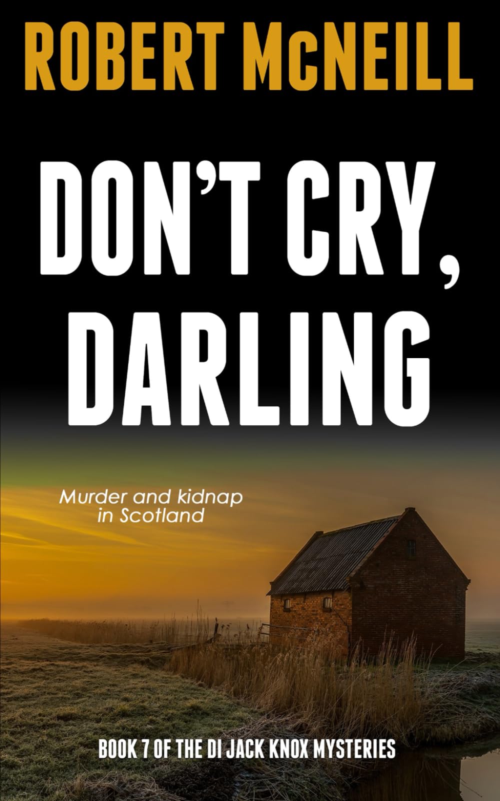 Don't Cry, Darling: murder and kidnap in Scotland (The DI Jack Knox mysteries)