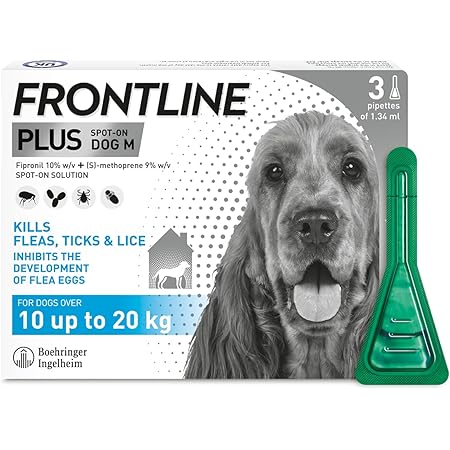 frontline plus dog flea