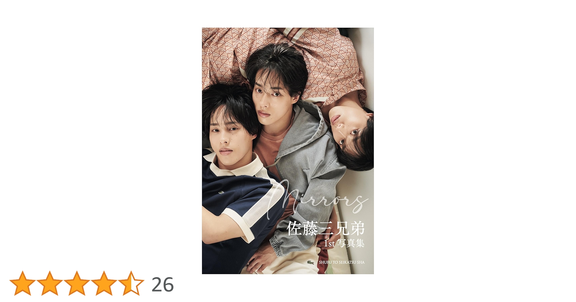 佐藤三兄弟 ラッフルくじ G賞 ミニフォトカード全13種17個セット