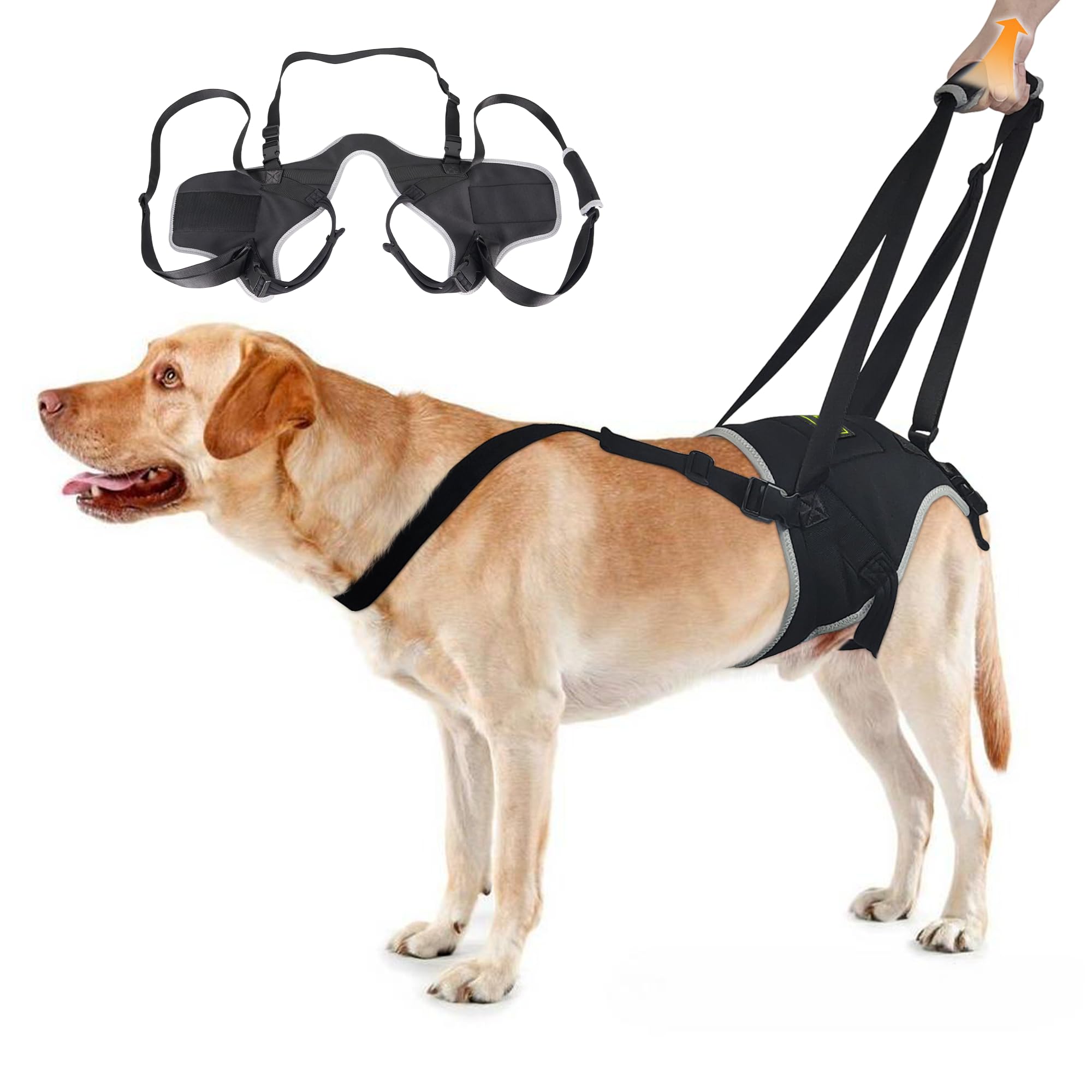 Arnés de elevación para perros pequeños, correa ajustable para displasia de cadera, artritis, discapacidad de patas traseras y recuperación postoperatoria, proporciona apoyo y ayuda a caminar,