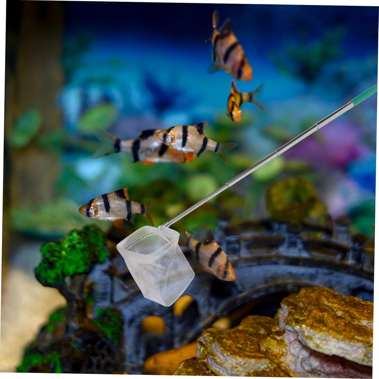 BESPORTBLE Fish Tank Shrimp Fishing Net Fish Net Fish Tanks Cast Nets for Fishing Aquarium Shrimp Net Shrimp Net
