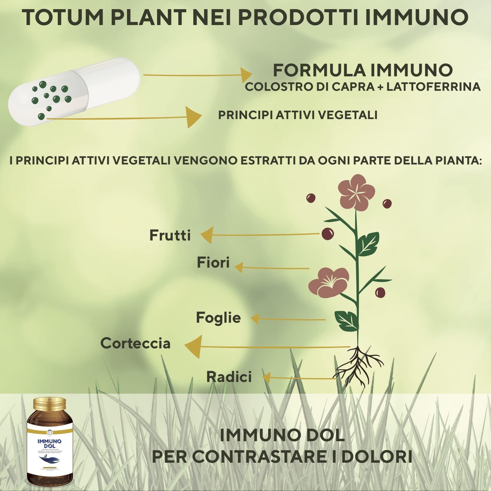 SEB - Immuno Dol - OFFERTA 2x1 - Integratore 60 capsule - Lenitivo naturale