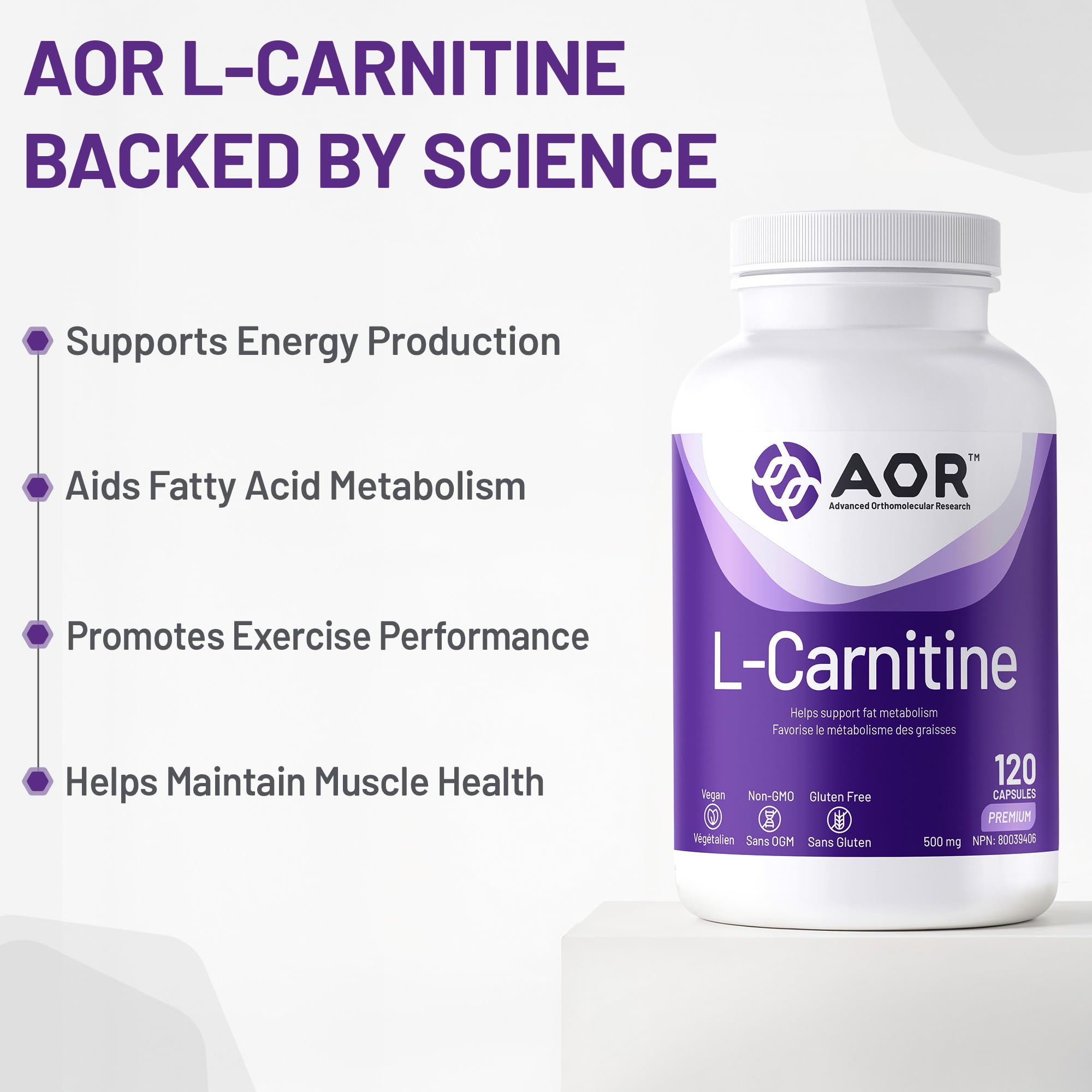 aor l carnitine AOR - L-Carnitine 500mg, 120 Capsules 30-Day Supply