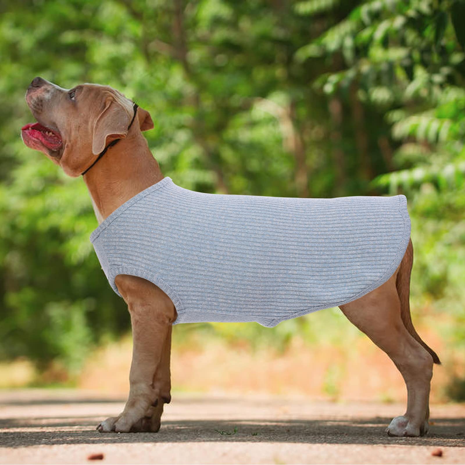 Hjumarayan Dog T Shirt - Image 2