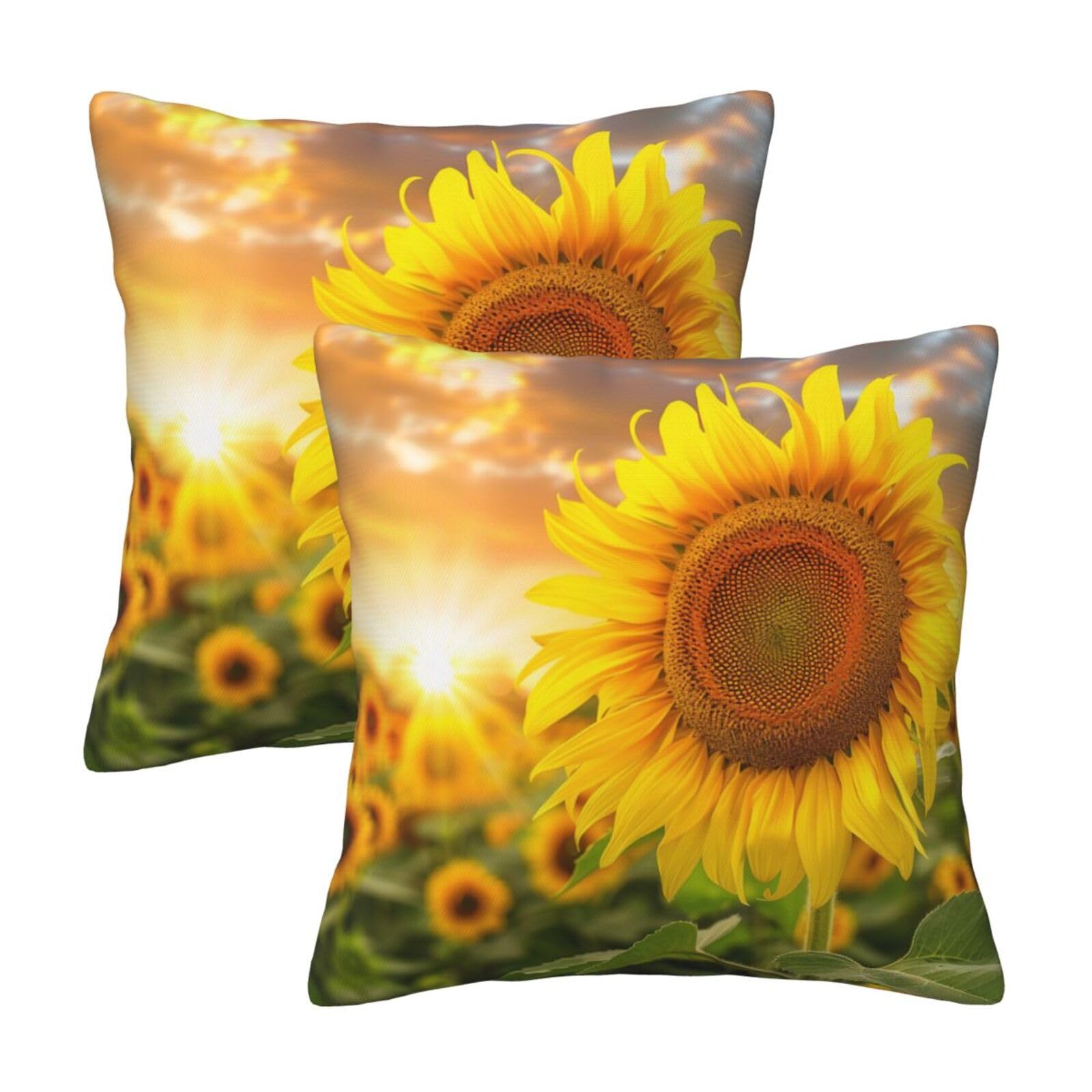 kkvhhyuo Sunflower Print Pillow Covers Set of 2, Square Decorative Cushion Covers with Hidden Zipper, Throw Pillow Cases for Living Room Sofa Bed Chair, 50x50 cm