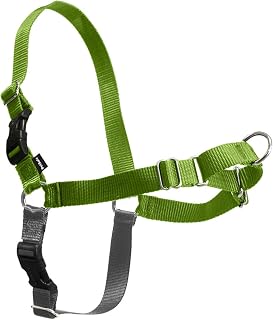 PetSafe Easy Walk No-Pull Harness