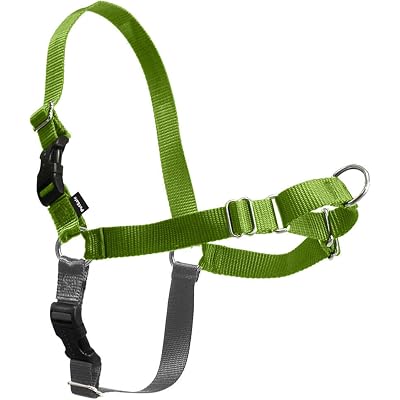 PetSafe Easy Walk No-Pull Dog Harness - Ultimate Harness to Help Stop Pulling - Pull-Free Walks - Take Control & Teach Better Leash Manners - Patented Martingale Loop Design - Apple Green,Medium/Large