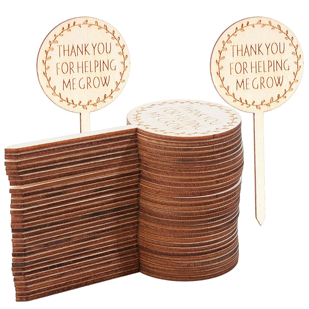 GORGECRAFT 30Pcs Thank You for Helping Me Grow Plant Tags Wood Plant Labels Wooden Stakes Gift Nursery Garden Marker Sign for Potted Flower Herbs Appreciation Xmas Thanksgiving