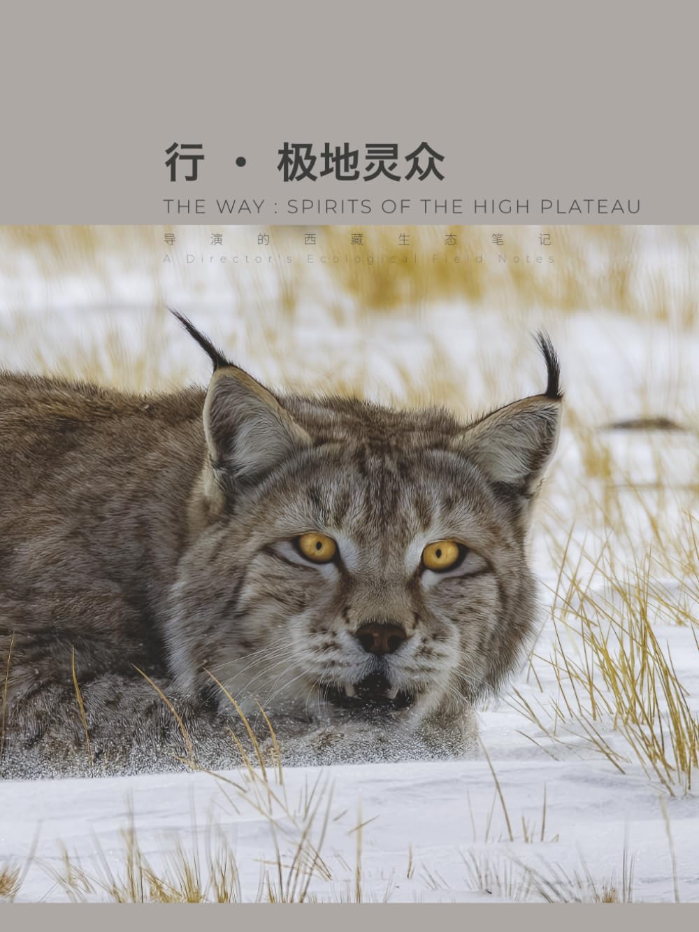 THE WAY: Spirits of the High Plateau: Director's Ecological Notes on Tibet