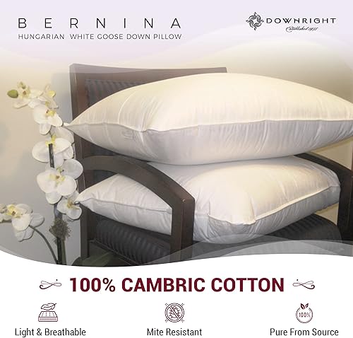 Miniatura 3 de Downright Almohada de plumón Bernina de 254 hilos, 29 onzas, 20 x 36 pulgadas, tamaño King 20 x 36, color blanco