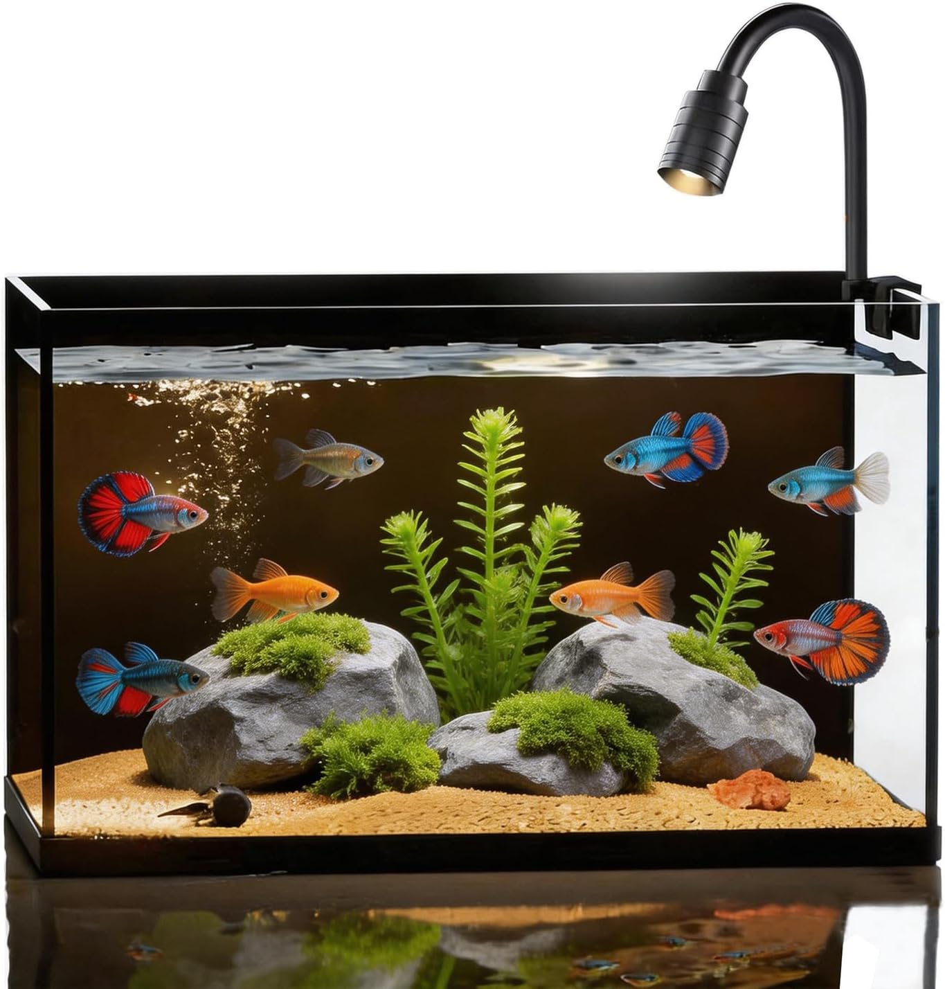 Small Fish Tank Kit,Nano Ultra-Clear Glass Rimless Black Desktop Fish Tank with Light Cleaning Tool & Décors,Small Fish Aquarium for Betta,Shrimp,Small Fish (2Gal Fish Tank Starter Kit)