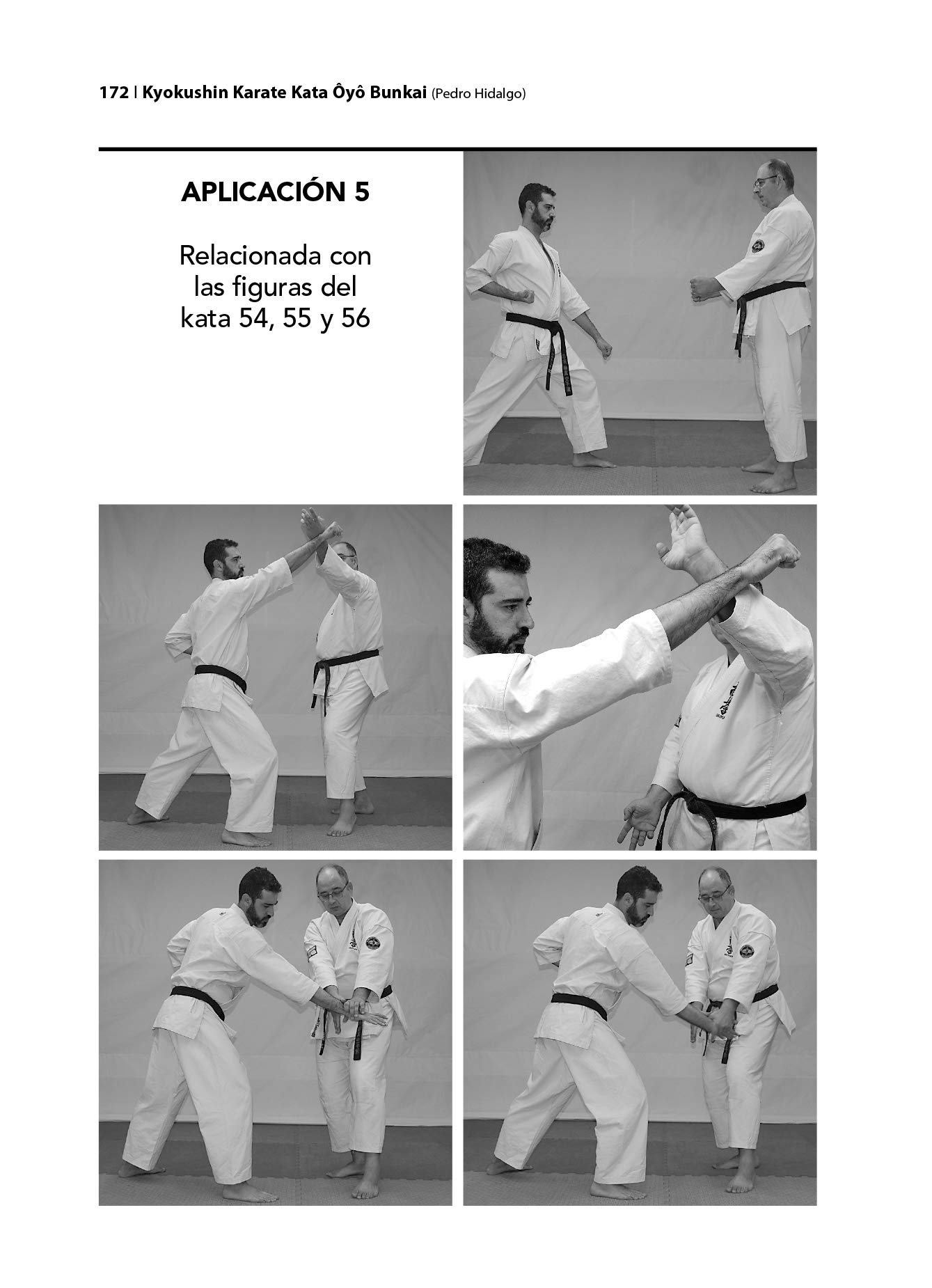 Kyokushin. Karate Kata Ôyô Bunkai (KATAS SUPERIORES I. La influencia de Shorei)
