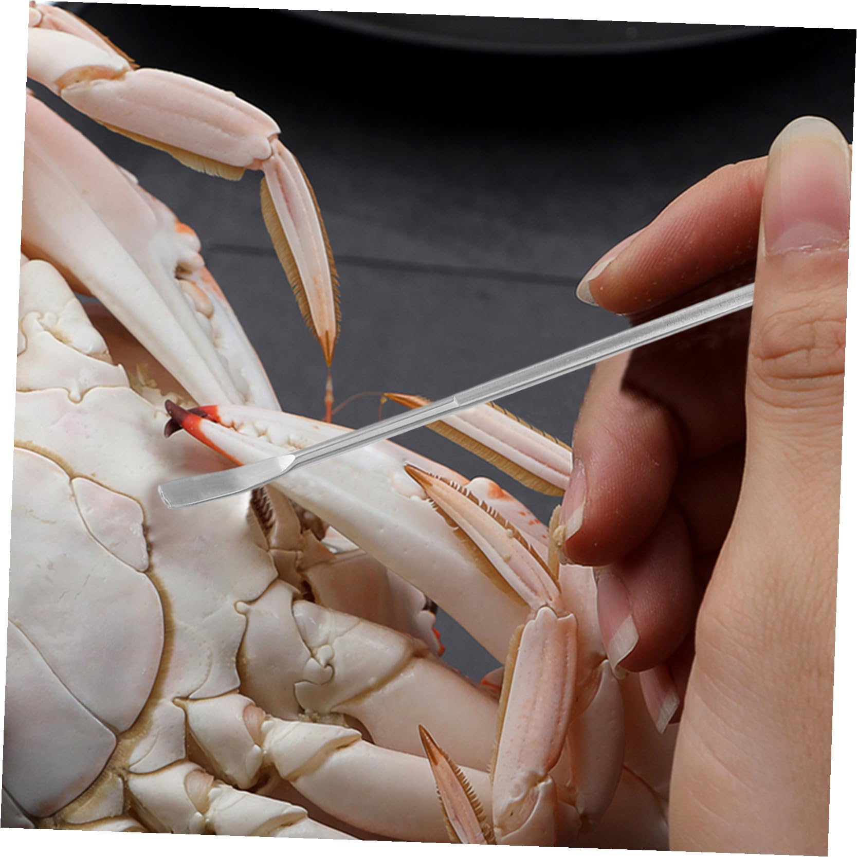 Set Pinza per Crostacei in Acciaio Inossidabile, Utensili per Cucina Sicuri per Mangiare Crostacei, Include Strumenti Apri Guscio Granchio, per Frutti di Mare