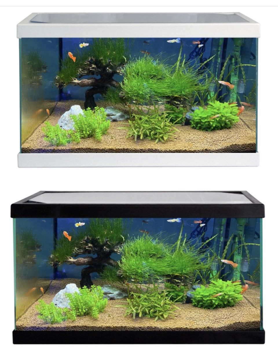 Acuario PECERA DE Cristal 20 litros Kit Completo