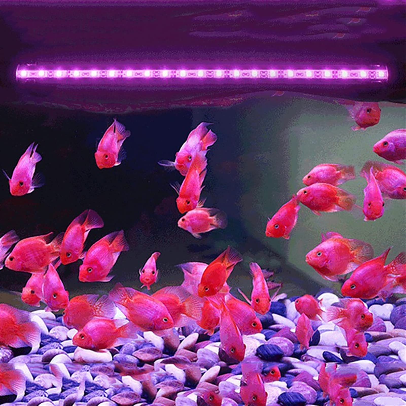 Luz para Piscina 1 8 cm 28 cm 38cm 48cm RGB Remoto DIRIGIÓ Tanque de pescado ligero acuario IP68 Impermeable 5050 SMD LED Luz de barra lámpara acuática sumergible Luces Sumergibles ( Color : 18CM US P