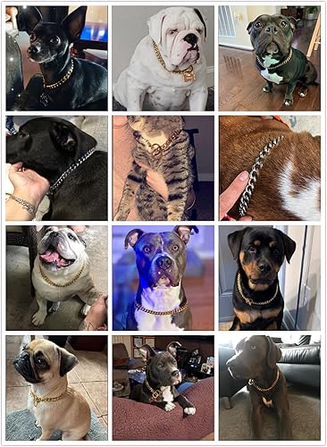 Miniatura 6 de Collar de cadena para perro, acero inoxidable doradoplateado, 0.47 pulgadas de ancho, cadena de eslabones cubanos para perros, collares de