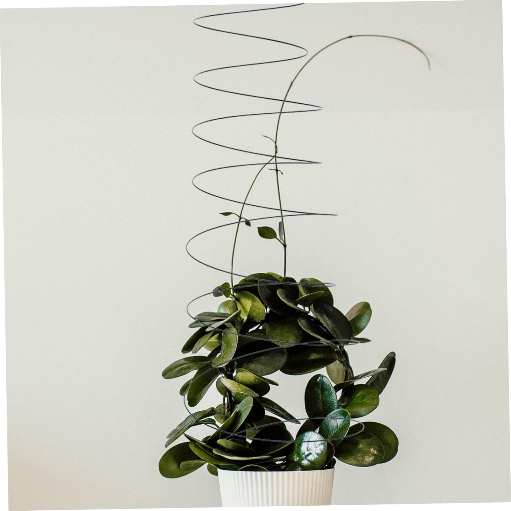 Happyyami 2 Stück Spirale Pflanzenstütze Aus Edelstahl Tomatenkäfig Pflanzhalter Für Garten Balkon Kletterpflanzenstütze Stabil Dehnbar