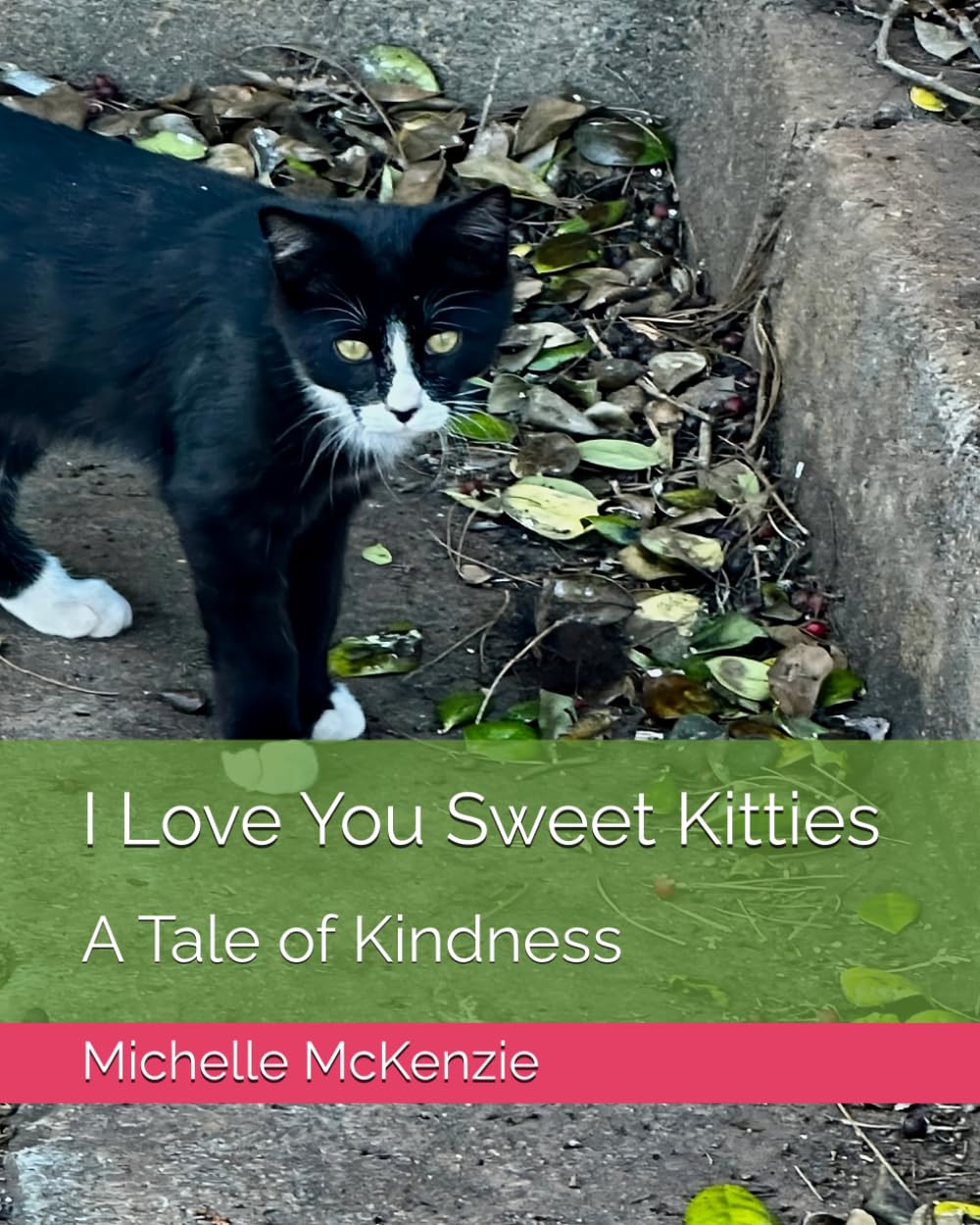 I Love You Sweet Kitties: A Tale of Kindness