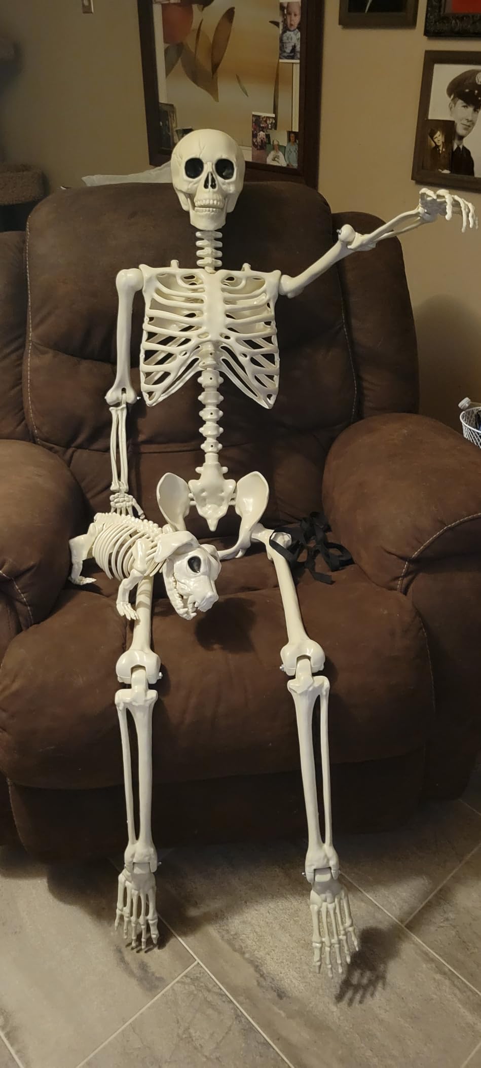 5.4FT Halloween Skeleton Decoration with Dog Skeleton, Posable Life Size Bones Prop for Haunted House & Graveyard Décor photo review