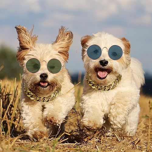 Miniatura 5 de Weewooday Disfraz de perro y gato, 6 piezas, gafas de sol para mascotas y sombrero de paja de verano con collar de cadena de oro sintético,