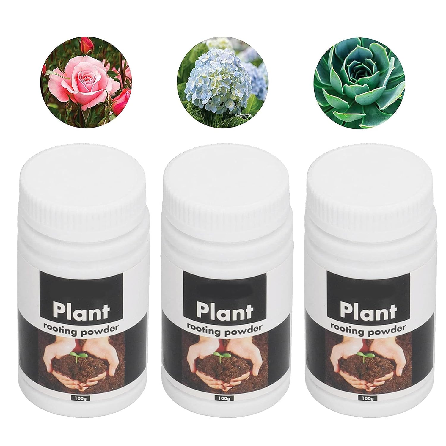 3PCS 3.5oz Rooting Powder, Plant Fruit Rooting Powder, Rooting Hormone Powder,for Indoor Plants,Vegetables,Fruit Trees,Berries,Flowers,Trees,Shrubs and Ornamental Plants
