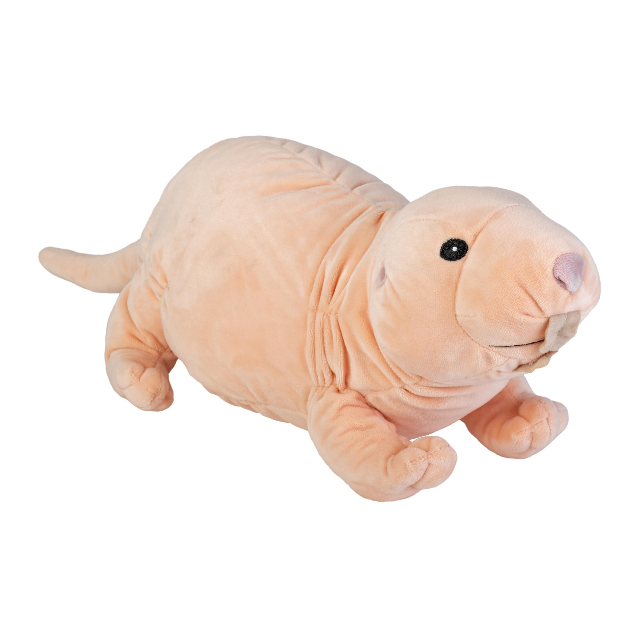 Rata De Peluche Widmann De 21 Cm – Decoración De Fiesta De Terror Con Patas Y Cola Móviles, Color Y Modelo Surtido, Importada De Alemania