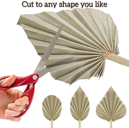 Miniatura 5 de AVLA Paquete de 12 hojas de palma secas bohemias, abanicos de palma seca con tallo, lanzas secas naturales, decoración de hojas secas tropicales