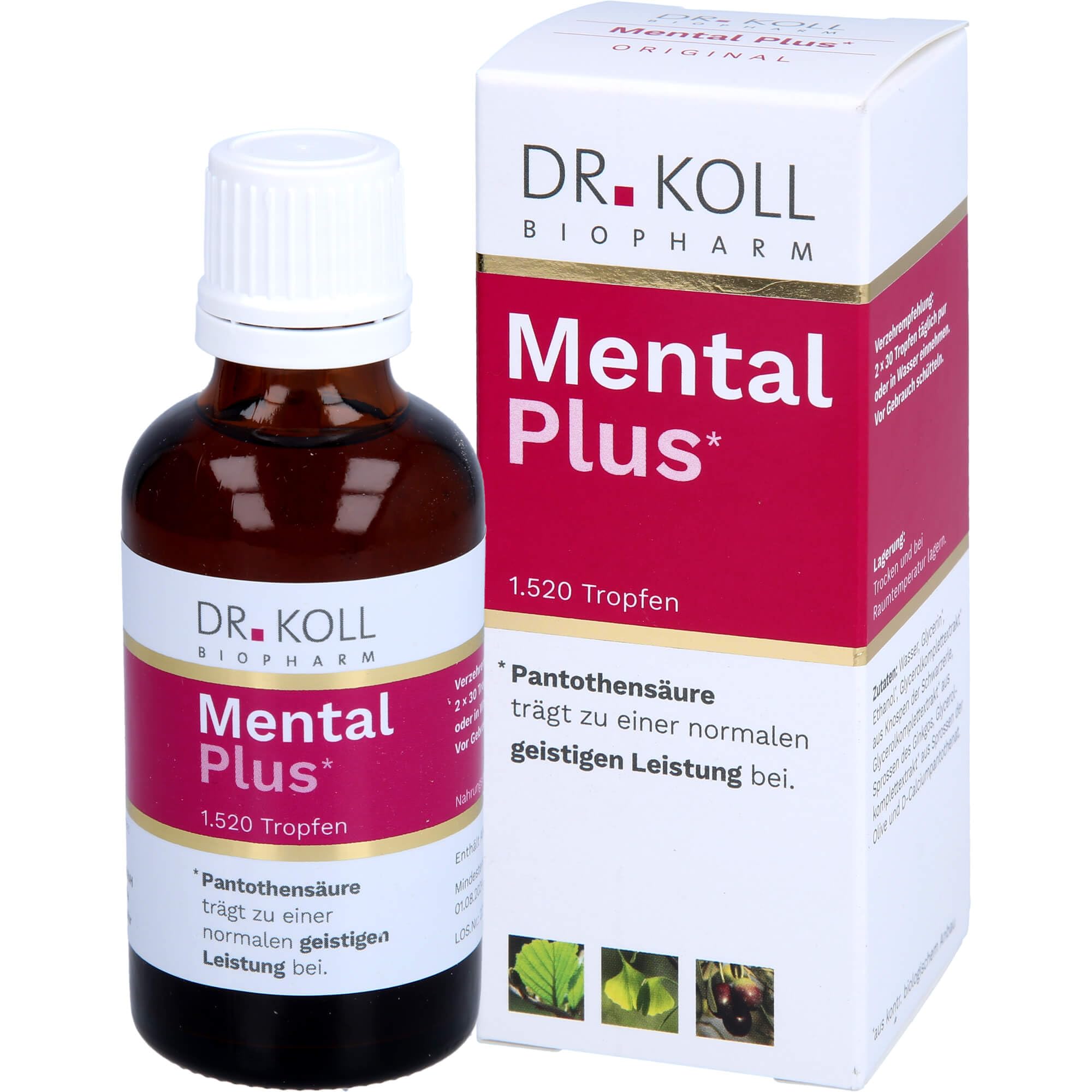 Dr. Koll Mental Plus Tropfen tragen zu einer normalen geistigen Leistung bei, 50 ml Tropfen