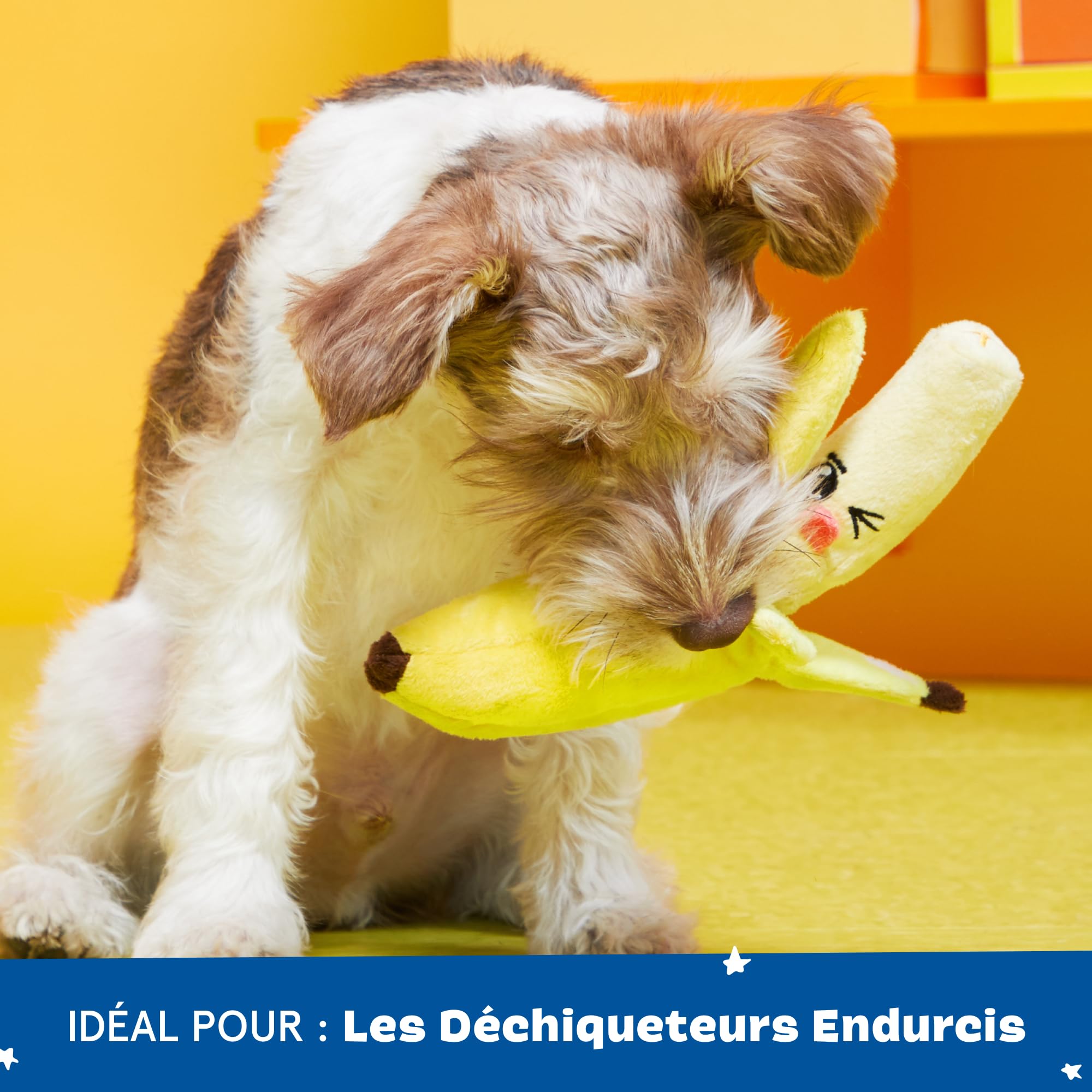 Barkbox Jouet interactif 2 en 1 en Peluche pour Chien – Jouet Anti-déchirure pour Chiens et Chiots – Jouet couineur Stimulant | Bananes (Petit)