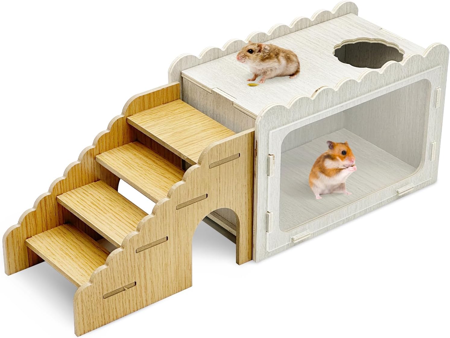 Fhiny Hamster Hideout Wooden Digging Box with Climbing Ladder & Transparent Acrylic Panels - Safe Habitat for Dwarf Hamsters Gerbils Mice