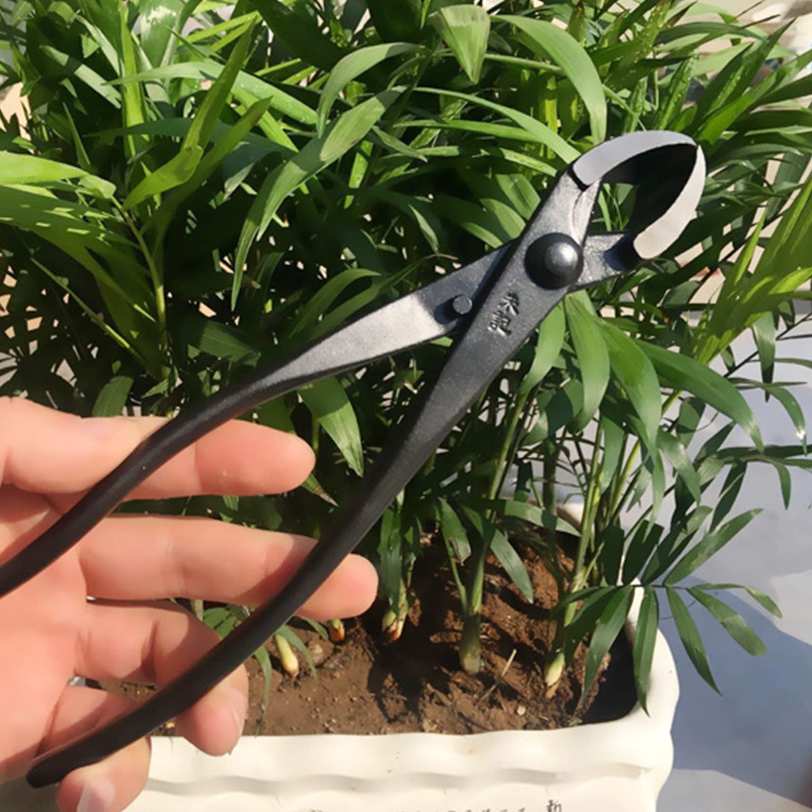 Coupeur Concave OKBY - Outil Bonsaï Professionnel - Acier Manganèse - 210mm