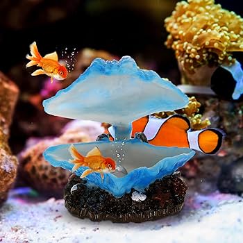 真珠付き天然貝殻置物 真珠付き天然貝殻置物 楽天市場】真珠貝 オブジェの通販