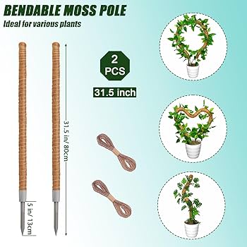 Amazon.com : Moss Pole 31.5 Inch, 2 Pack Bendable Moss Pole
