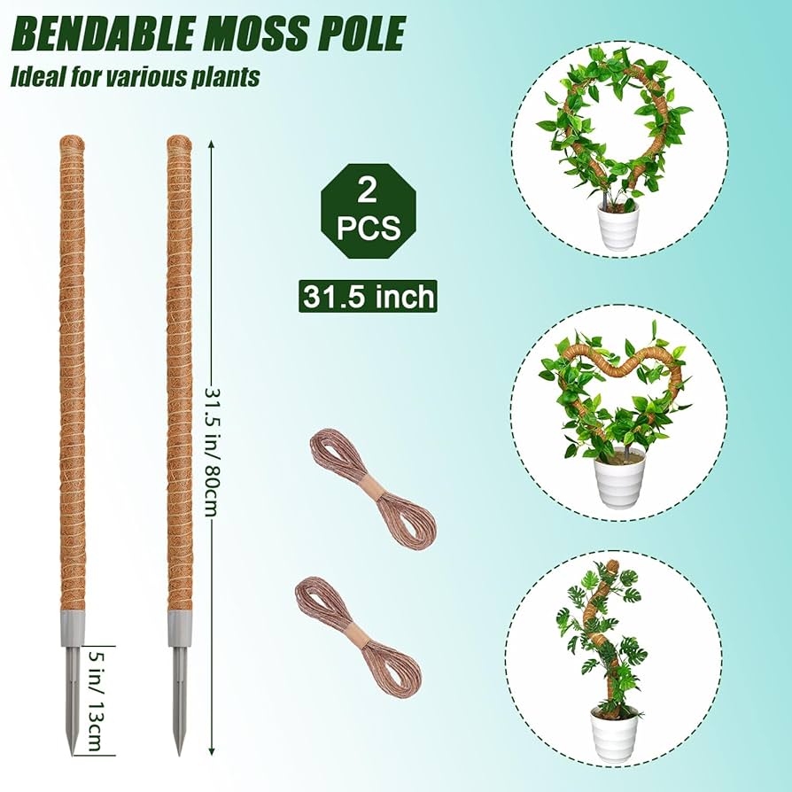 ミ*ミ様 MOSS STICK U5 154cm ミ*ミ様 MOSS STICK U5 154cm 1PC Moss Pole Bendable Plant