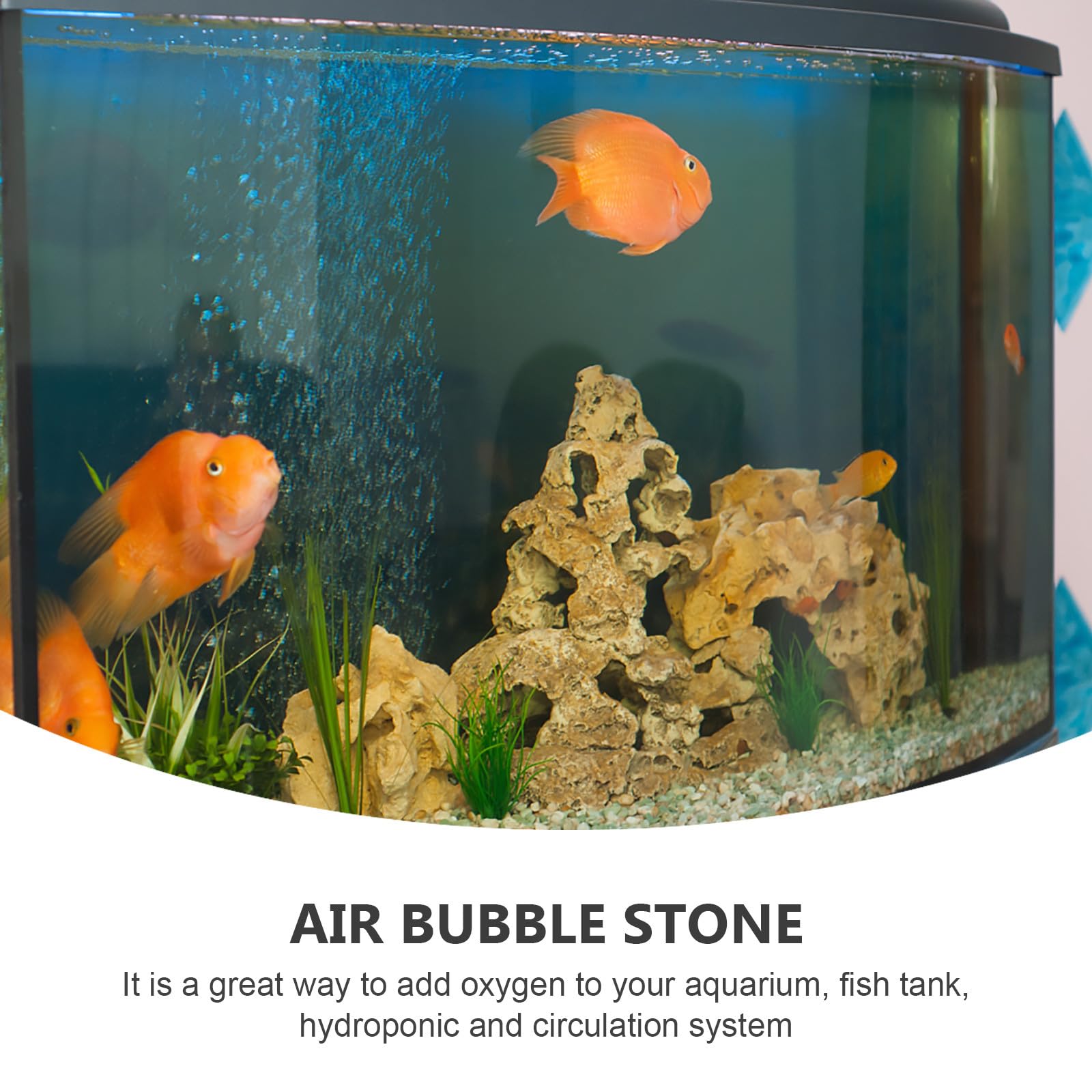 Nettoyée et Réutilisable en Sable et Gravier pour Aquarium Noir Pierre à pour Aquarium Augmente L' Couleur Aléatoire et Poisson